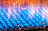 Bilting gas fired boilers